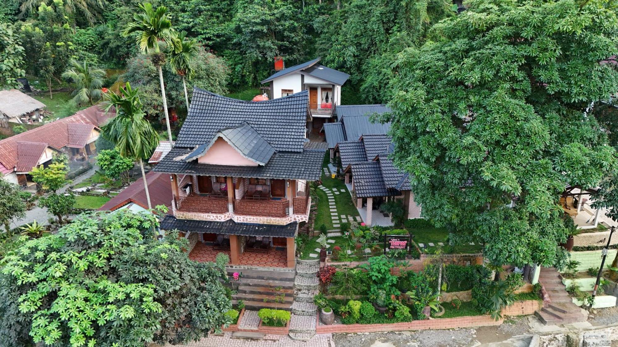 Thomas' Retreat Bukit Lawang Hotell Eksteriør bilde