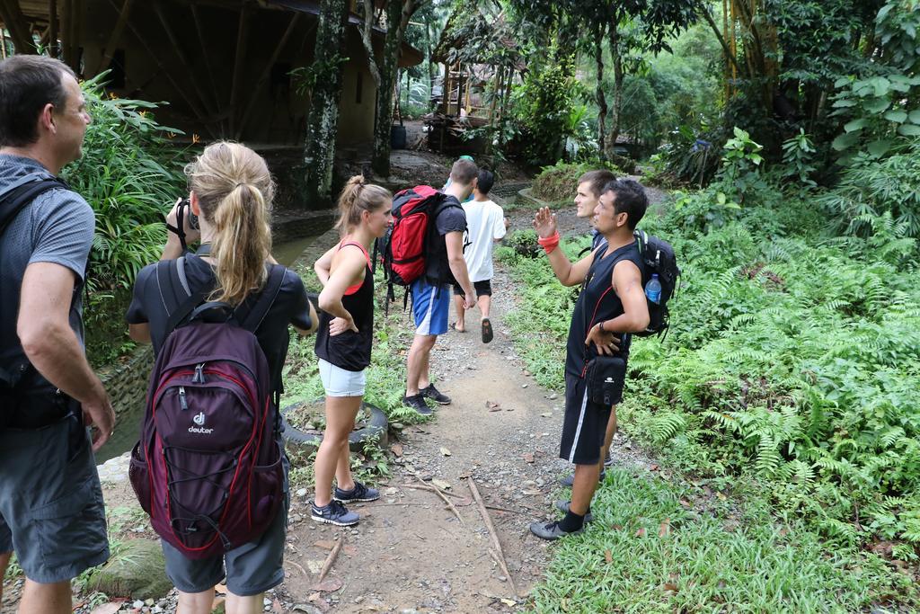 Thomas' Retreat Bukit Lawang Hotell Eksteriør bilde