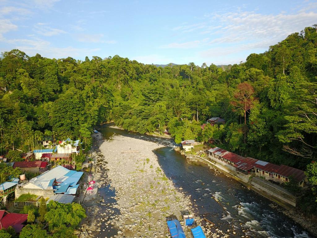 Thomas' Retreat Bukit Lawang Hotell Eksteriør bilde